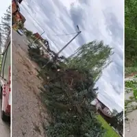 Vjetar u bh gradu cupao stabla i lomio grane Vatrogasci na terenu