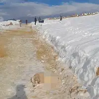 Vlakovo Prijatelji zivotinja