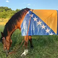 Bosanski arapski konj