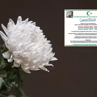 Bec dzenaza djeca