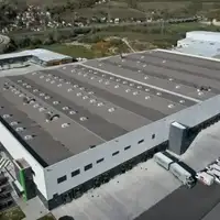 Hala Bingo zica