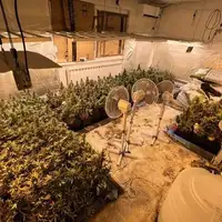 Droga sarajevo marihuana