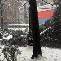 Grbavica kolajpg 1200