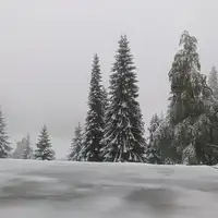 Jahorina