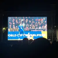 Javno gledanje utakmice