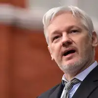 Julian assange Wire