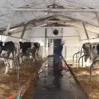 Ktavre farma