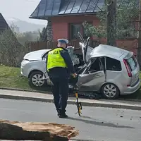 Nesreca poljska