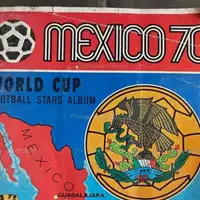 Panini album