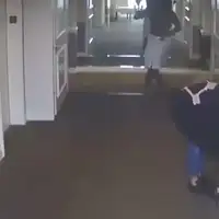 Pi didi