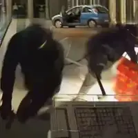 Pljcka zlatare 872x610