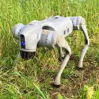 Robot