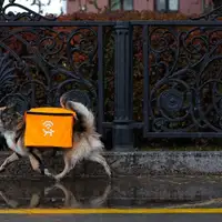 Rusija Wi-Fi psi inernet