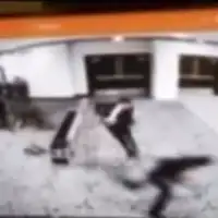 Sad pucnjava bijela kuca