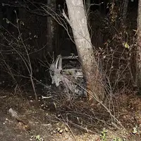 Saobracajna nesreca pozar Tesla Tesla Model Y