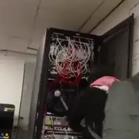 Svedska propalestinski