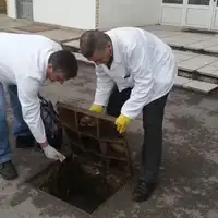 Vlada ks
