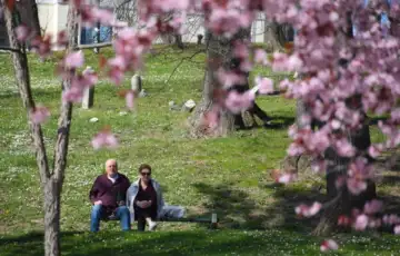 proljece sarajevo AA