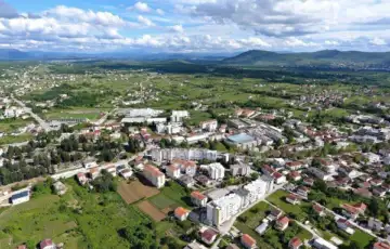 Citluk