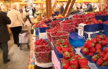 Pijaca cijene voca povrca jagode