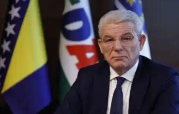 Sefik dzaferovic fena