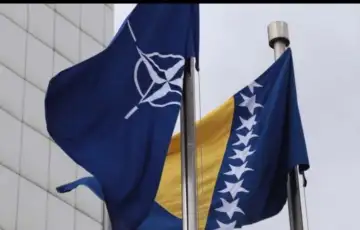 Nato bih