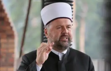 Mevludin ef Dizdarevic