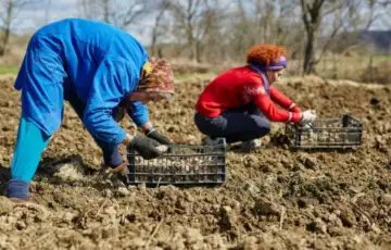 Njiva poljoprivernici radnici