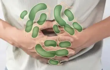 Trovanje hranom etto