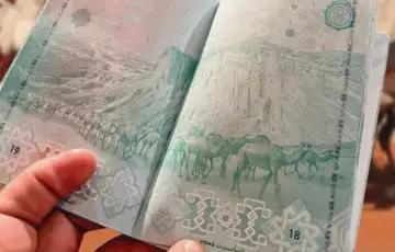 Saudijska arabija pasos deve