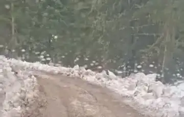 Foča alternativni put