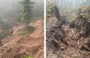 Curine njive 1 872x610