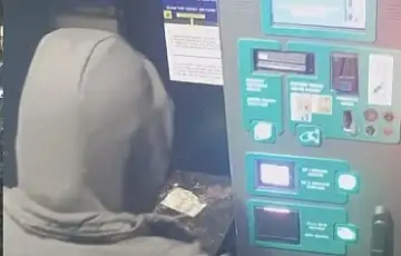 Marijin dvor parking lopov