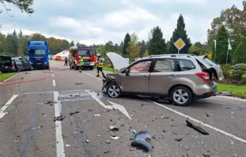 Njemačka mravi nesreća