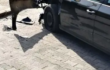 Milos Kostic Dignut u zrak džip poznatog MMA borca