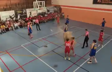 Sevilla utakmica plafon