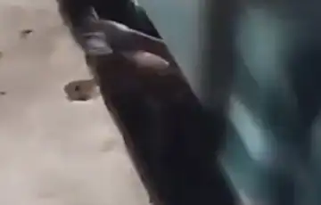 Bangladeš voz