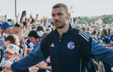Dzeko Schalke 04
