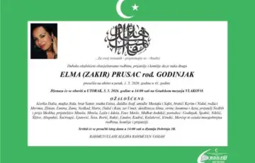 Elma godinjak
