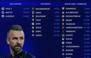 Vedad Ibisevic