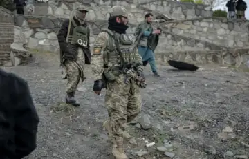 Talibani