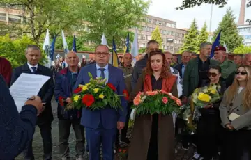 Viteska 1779099082