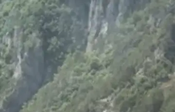 Požar jablanica