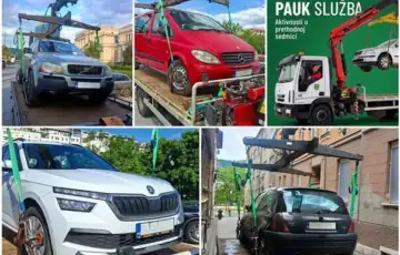 Pauk jkp rad 06