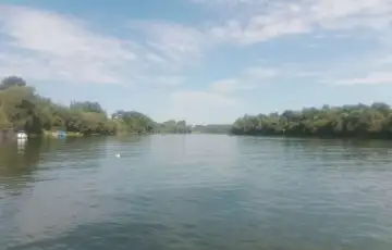 Orasje