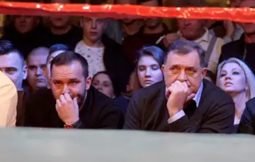 Zeljkovic dodik slika