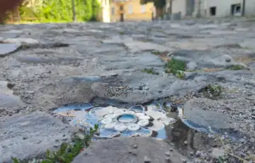 Cvijet srebrenice beograd radio slobodna europa