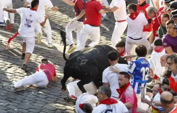Spanija bik