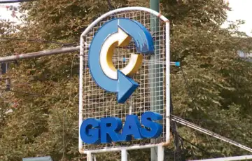 Gras
