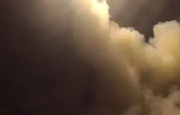 Sad iran rat